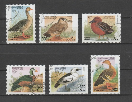 Thv série nature faune - de,