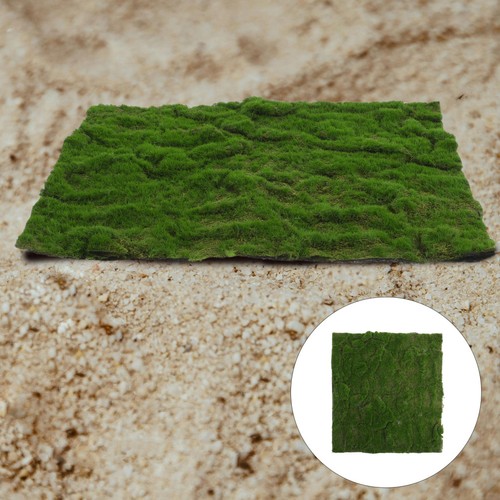 Lichen artificiel chemin - lichen,