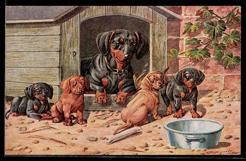 Carte postale artiste - carte, d'artiste