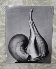 EW 100 Centennial Essays in