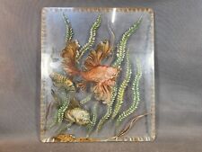 Ancienne plaque en résine décoration de la mer dessin en relief dessous de plat