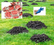 Poison puissant contre les