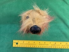 ARTLIST The DOG Collection