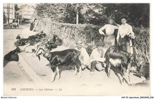 AVPP2-0078-AGRICULTURE -