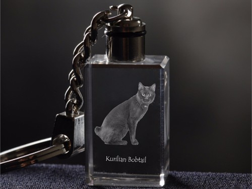 Kurilen bobtail chat - kurilen, bobtail,