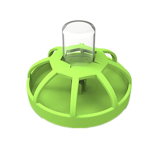Green abs food bowls for - food,
