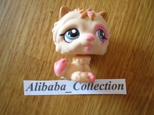 ** # 2304 DOG CHIEN CHOW CHOW