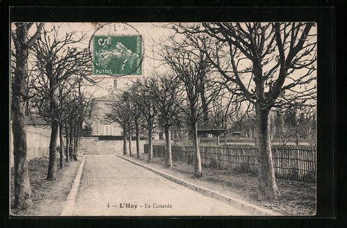Cpa hay cosarde 1908 - cpa,