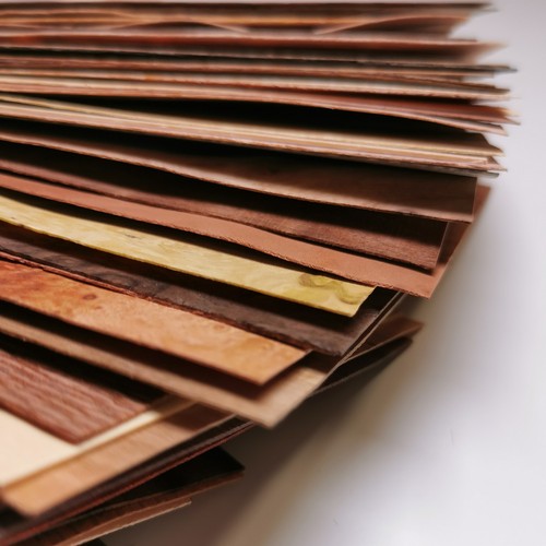Nuancier essences placages - nuancier,