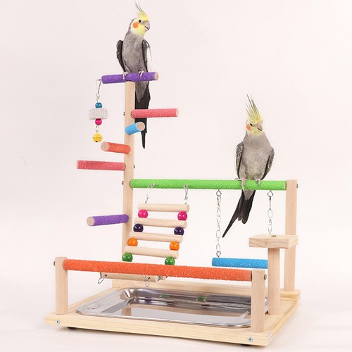 Aire jeux pour perroquets - aire,