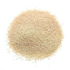 graines de pavot blanc Posto