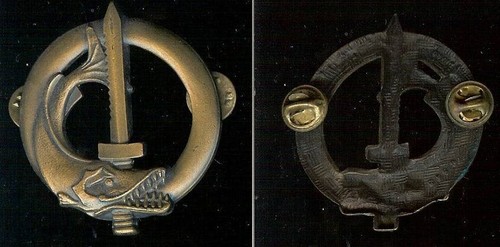 Paras commandos brevet - paras,