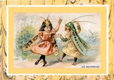 LES SAUTERELLES XH25, JORDAN Editions, France, Marie V Postcard