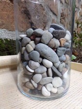 LOT DE 1,260 KG PETITS CAILLOUX / GALETS - MER BALTIQUE - DECORATION & AQUARIUM