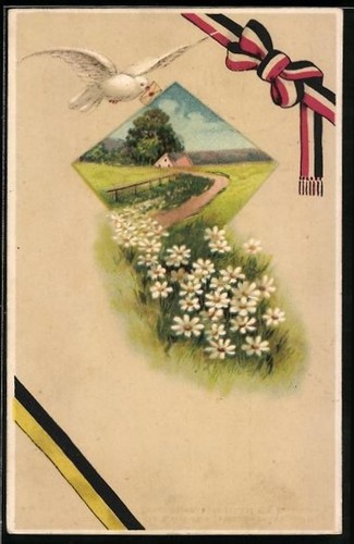 Carte postale pigeon voyageur