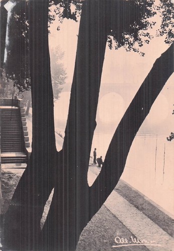 Mantes jolie collegiale - 78,