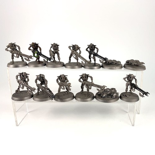 X13 guerriers scarabés - +,