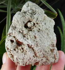 Ponce Roche Volcanique Massif