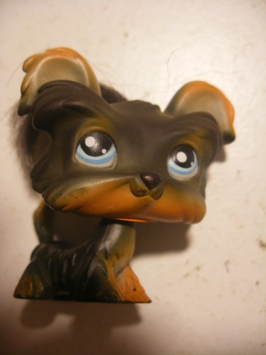 Hasbro littlest petshop pet - hasbro,
