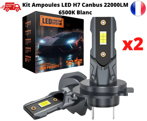 Ampoule led 22000lm - 2x,