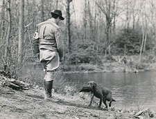 HUNTING c. 1950 - USA Water Game Dog Hunter - Div8417