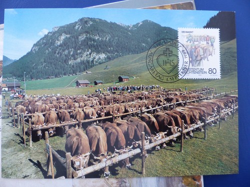 1989 carte maximum 06 09 - 1989, du