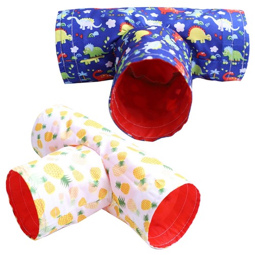 Cochon inde tunnels tubes - tunnels,