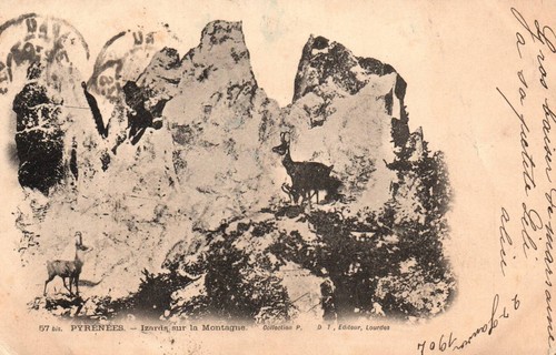 Old postcard h - old,