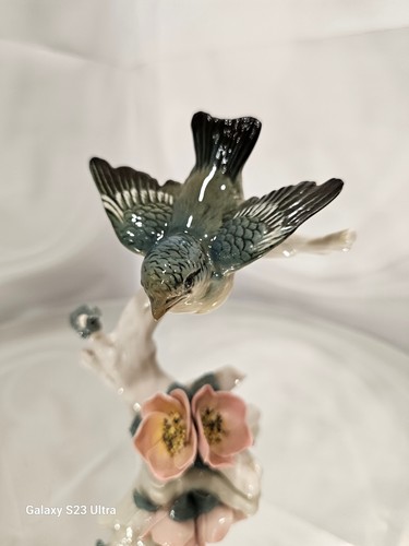 Karl ens blue tit bird - karl,