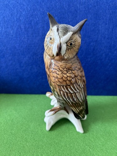 Karl ens chouette hibou - karl,
