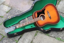 Rare Top Line First Edition Solid Top EKO Rio Bravo Acoustic + OHSC + Pro Setup