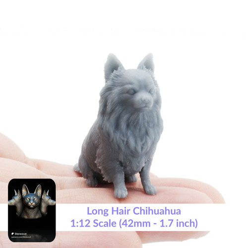 Chihuahua 12 scale - scale, long