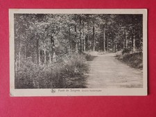 Old postcard forest of care - Chemin Vanderheyden