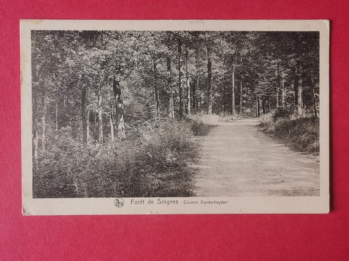 Cpa forêt soignes chemin - -,