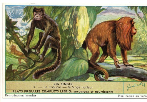 S1604 chromo liebig 1954 - s1604-,