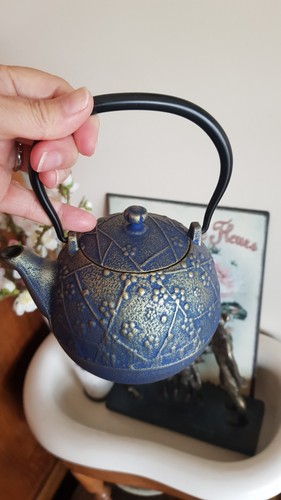 Théière fonte japonaise - fonte,
