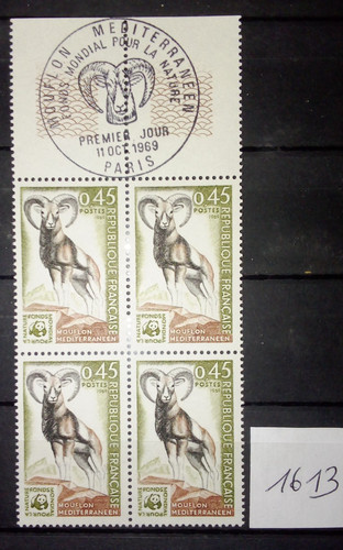 1613 mouflon bloc 4 - mouflon, +
