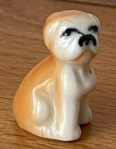 Rare fève petit - fève,