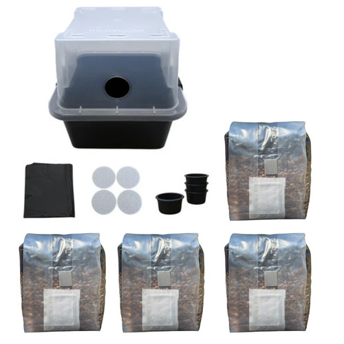 Monotub mushroom grow kit - kit, |