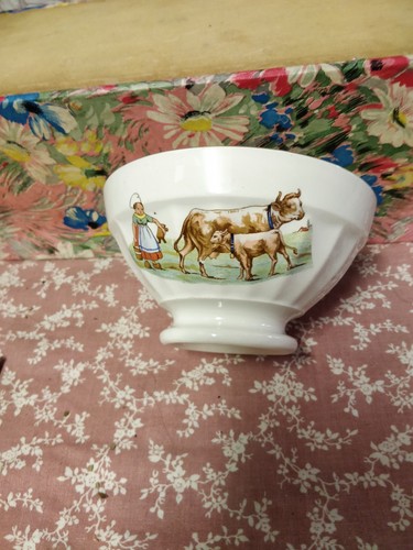 Bol digoin ancien - digoin, porcelaine