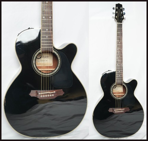 Guitare électrique acoustique
