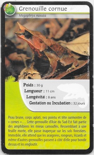 Carte bioviva grenouille - carte,
