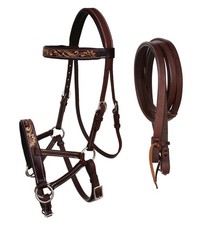 Horse Western Leather Bitless