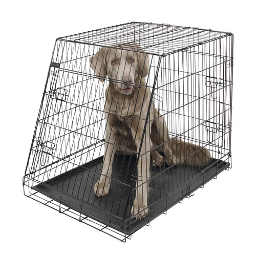 Kerbl 81368 cage - 81368, transport