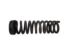 1998-2002 Mercedes SL500 R129 Rear Left or Right Coil Spring OEM VI701178