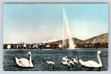 Vintage Postcard Geneve Le Jet d'eau et le Mont Blanc 