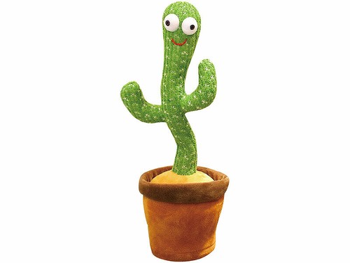 Cactus répéteur dansant - , et