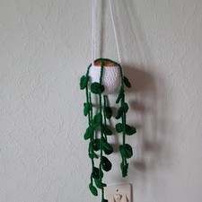 Plante verte en suspension