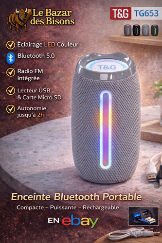 Enceinte bluetooth - 🦬,