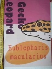 Poster / Print De Gecko